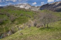 Chatkal Range, western Tien-Shan