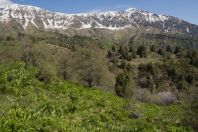 Chatkal Range, western Tien-Shan