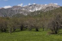 Chatkal Range, western Tien-Shan