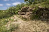 Habitat of Mediodactylus narynensis, Jalal-Abad