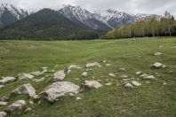 Kök-Jaiyk -- Valley of Flowers