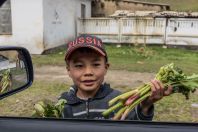 Kyrgyz boy selling wild rhubarb stems, Kara-Unkur