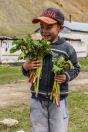 Rhubarb selling, Kara-Unkur