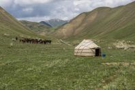 Yurt, between Kazarman - Ak Tal