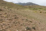 On the road between Chaek and Kyzyl-Oi