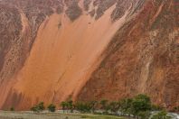 On the road between Chaek and Kyzyl-Oi