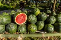 Melons, Laos