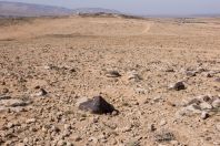 Desert, Hermel
