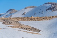 Libanon Mts., Kfardebian