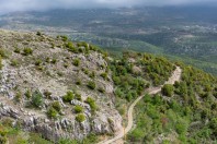 Lebanon Mts.