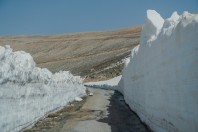 Bsharri