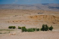 Mrah El Qraytah