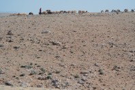 Mrah El Qraytah