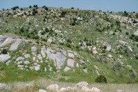 Fessani