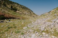 Aakroum