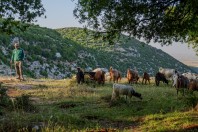 Kfar Toun