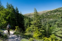 Horsh Ehden