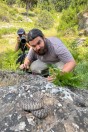 Montivipera bornmuelleri, Fnaidek