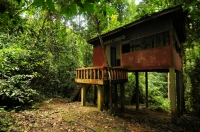 Bambun Tabing - the observatory of animals - Taman Negara