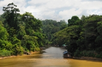 Soutok řek Tahan a Tembeling - Taman Negara