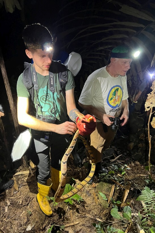 Herping, Kampong Segong