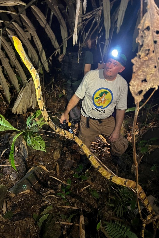 Herping, Kampong Segong