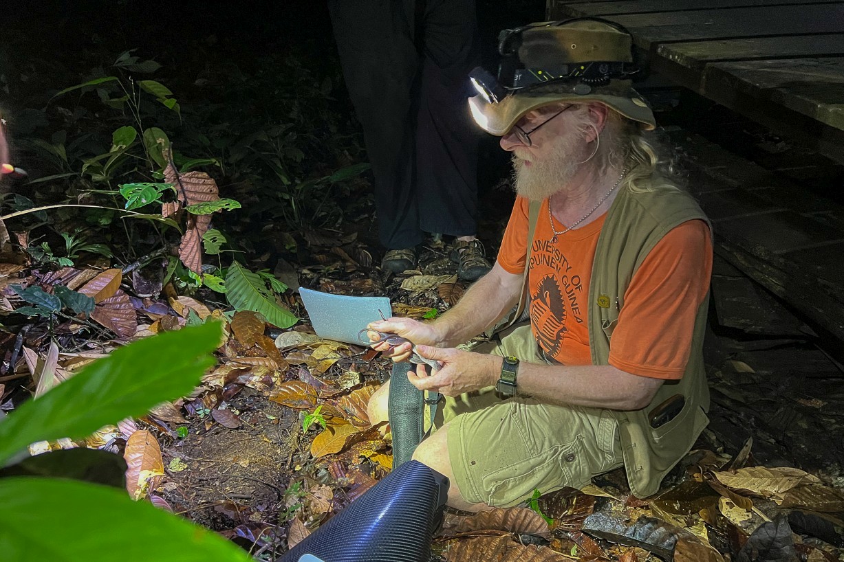 Herping, Mount Singai