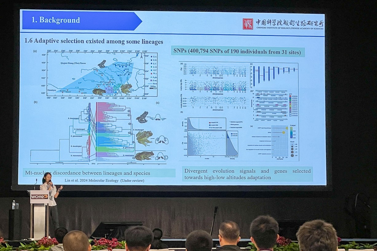 Světový herpetologický kongres, Kuching