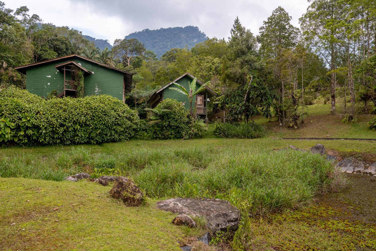 Borneo Highlands
