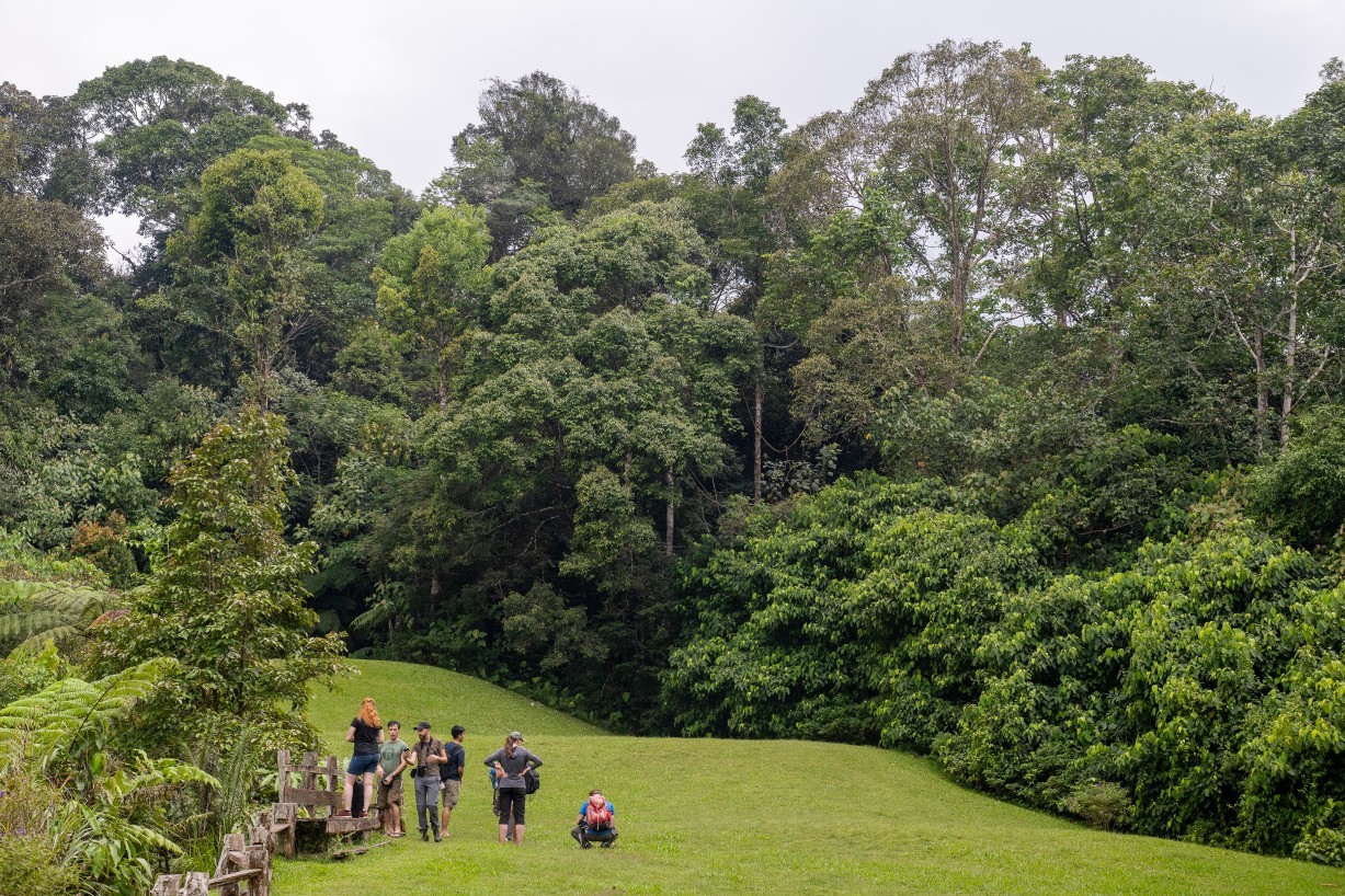 Borneo Highlands