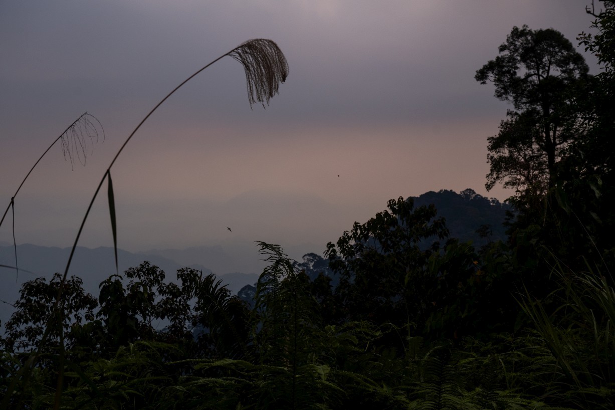 Borneo Highlands