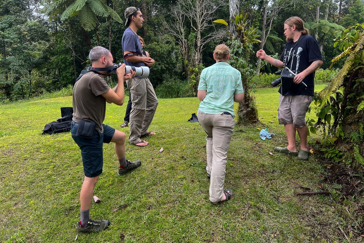 Herping, Borneo Highlands