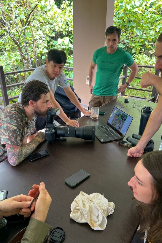 Herping, Borneo Highlands