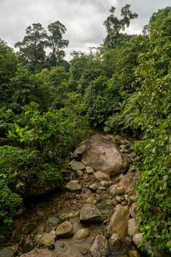 Borneo Highlands