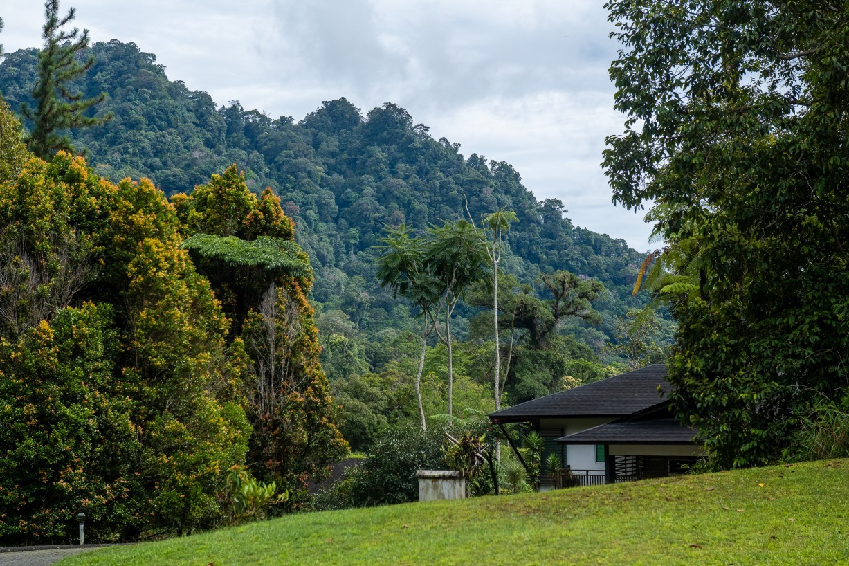 Borneo Highlands