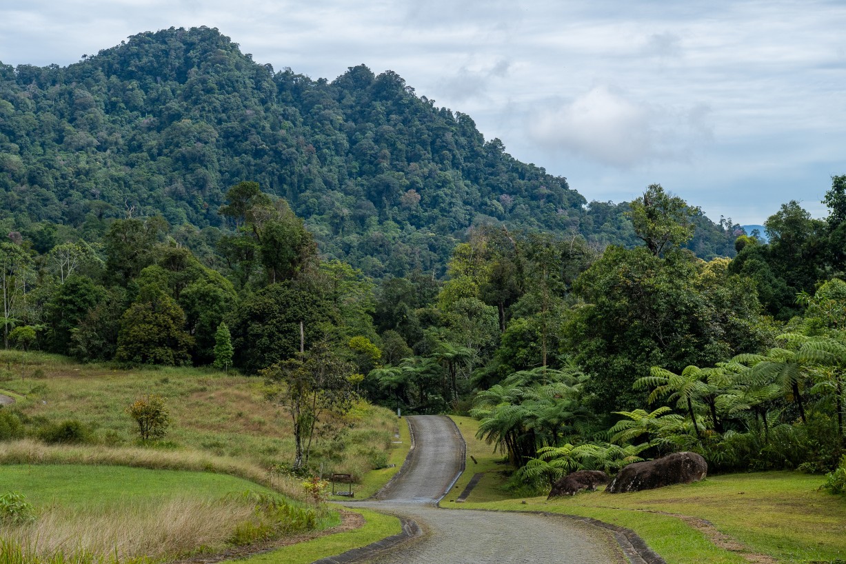Borneo Highlands