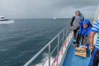 Local Ferry - from Male to Huraa