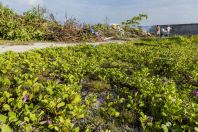 Burning waste, Huraa