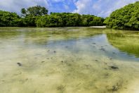 Brakická laguna, Huraa