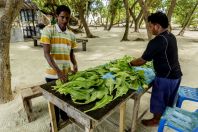 Obyvatelé Viligilimathidhahuraa