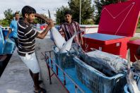 Fishermen from Bangladesh, Huraa