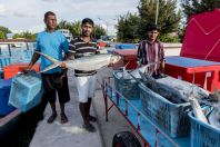 Fishermen from Bangladesh, Huraa