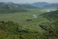 Lake Skadar