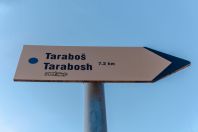 Tarabosh