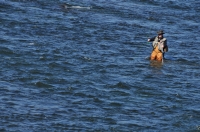 Fisherman, Dunajec river