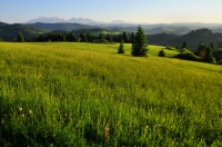 NP Pieniny and Spišská Magura