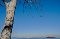 Lower Manhattan from Staten Island