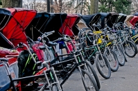 Central Park Rickshaw