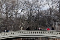 Bow Bridge, Central Park