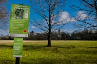 Great Lawn, Central Park